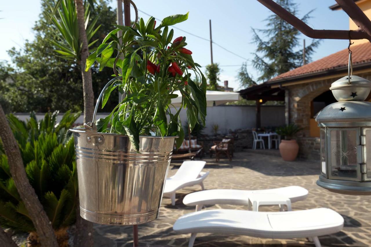 B&B Fasolino Montecorice Exterior photo